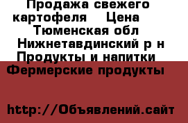 Продажа свежего  картофеля  › Цена ­ 8 - Тюменская обл., Нижнетавдинский р-н Продукты и напитки » Фермерские продукты   